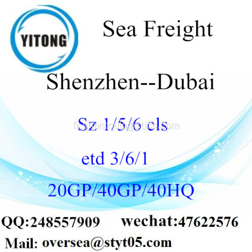 Fret de Shenzhen Port maritime Shipping à Dubaï